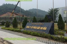 Trồng cây xanh nhà máy giấy An Hòa – Tuyên Quang