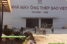 Trồng cây xanh cho Nhà Máy Ống thép Sao Việt