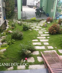 Thi công sân vườn tại nhà anh Vinh ở Sơn Tây, Hà Nội
