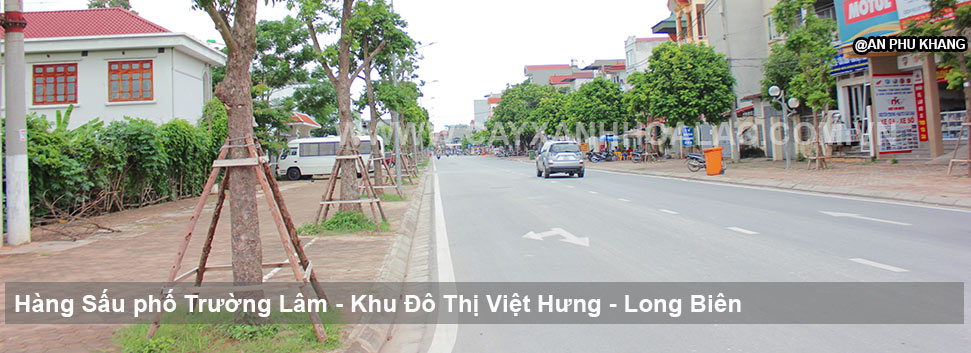 Trồng cây xanh cho khu đô thị Việt Hưng