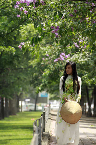 bang lang tim - duong pho (1)