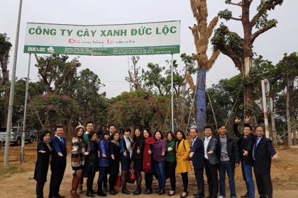 Vương ươm của công ty