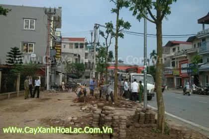 Khu-Do-Thi-Viet-Hung