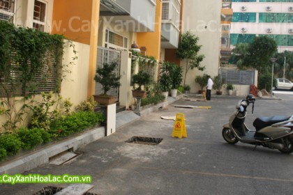 rich-land-southern-chung-cu
