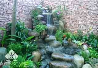 Tiểu cảnh trong nhà