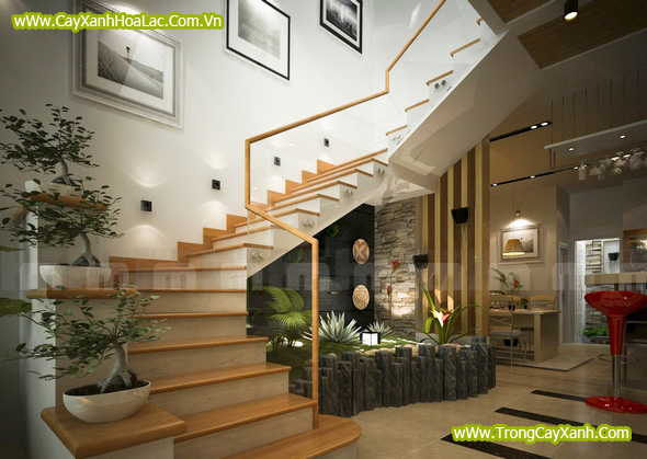 Tiểu cảnh cầu thang