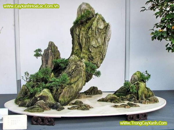 Tiểu cảnh non bộ trong nhà