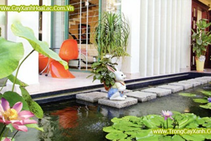 Tiểu Cảnh Sân Vườn Với Nước