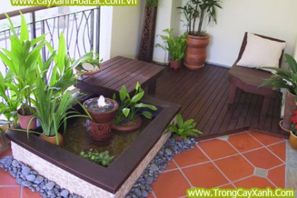 Tiểu Cảnh Sân Vườn