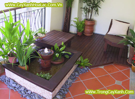 Tiểu Cảnh Sân Vườn