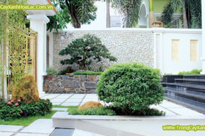 Tiểu cảnh sân vườn