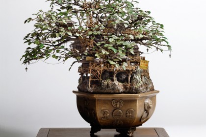 bonsai đầy nghệ thuật của Takanori Aiba