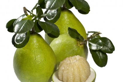 bưởi năm roi