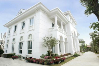 Những chậu hoa được trang trí cho biệt thự