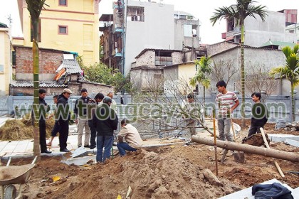 Công nhân cây xanh Trúc Lâm đang đào hố trồng Cau