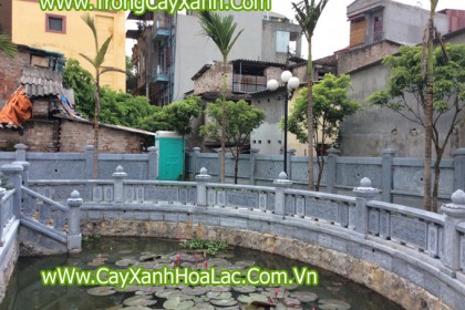 Trồng Cây Xanh tại Đình Hoàng Mai - Hà Nội