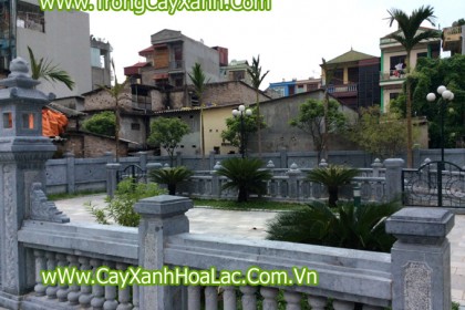 Trồng Cây Xanh tại Đình Hoàng Mai - Hà Nội