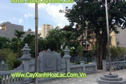 Trồng Cây Xanh tại Đình Hoàng Mai - Hà Nội