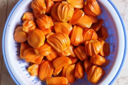 mít ruột đỏ