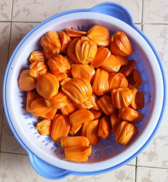 mít ruột đỏ