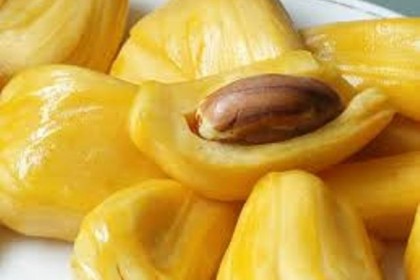 mít nghệ