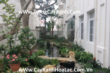 Splendora-bac-an-khanh5