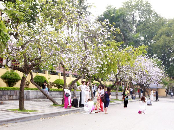Các ban trẻ với bộ áo dài thướt tha cùng nhau lưu lại khoảnh khắc đẹp trong mùa