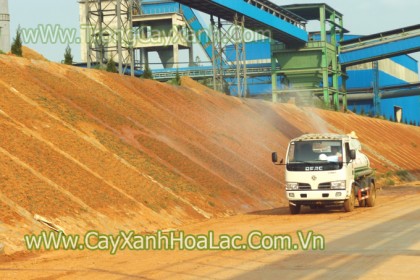 Trồng cỏ cho nhà máy