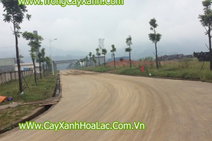 Tuyến đường cổng phụ nhà máy