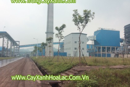Hàng Xà Cừ- Tuyến đường khu để quặng nhà máy