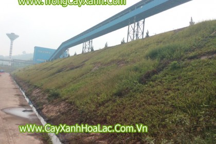 Ta luy của nhà máy