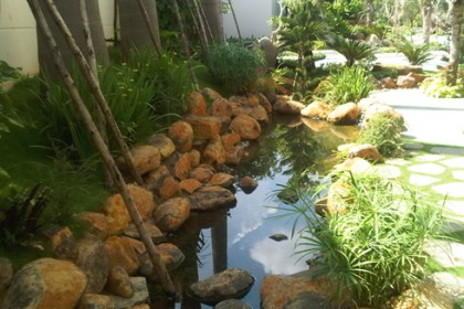 Suối nước trong vườn