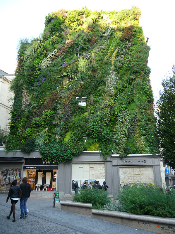 L'Oasis d'Aboukir, création Patrick Blanc, Paris 2e (75), septe