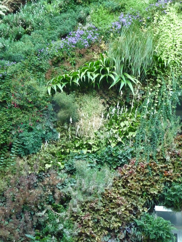 L'Oasis d'Aboukir, création Patrick Blanc, Paris 2e (75), septe