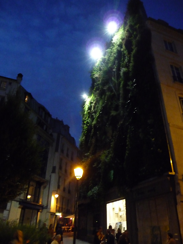 L'Oasis d'Aboukir, création Patrick Blanc, Paris 2e (75), septe