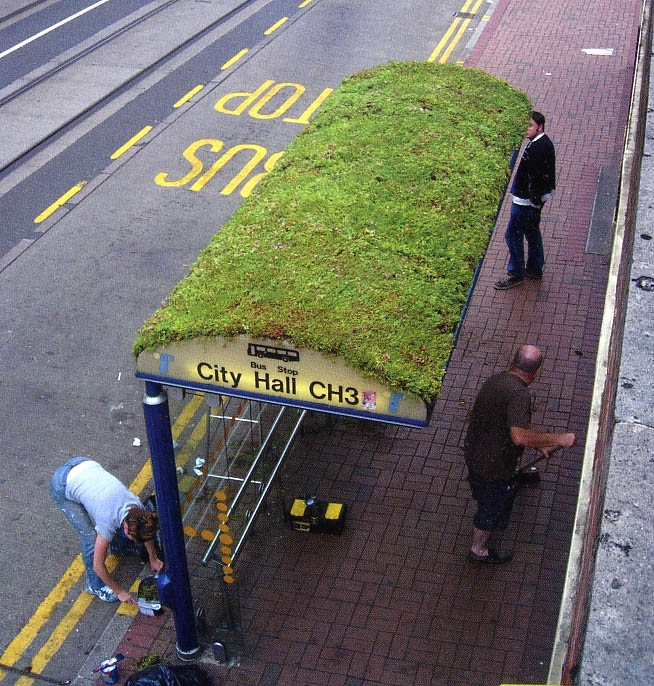 Green bus shelter roof