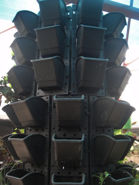 modul nhua dung 00