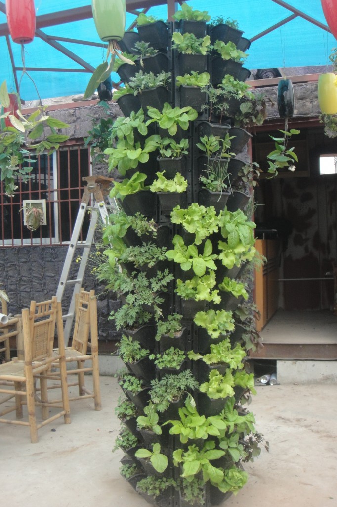 modul nhua dung1