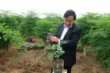 giao su nguyen lan hung