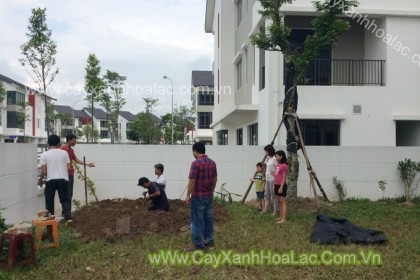 Cả gia đình nhà chủ nhà.