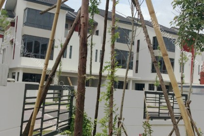 Cây Tử Đằng tại Gamuda Garden