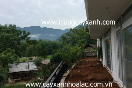 Trước khi thi công mặt trước khách sạn SunSet - Mai Châu