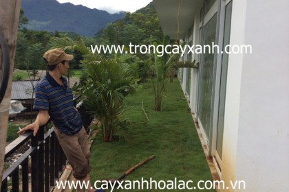 Sau khi thi công mặt trước khách sạn SunSet - Mai Châu