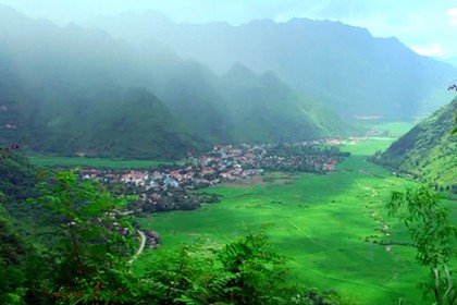 Cây Xanh cho Khách sạn