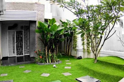 Cỏ nhân tạo