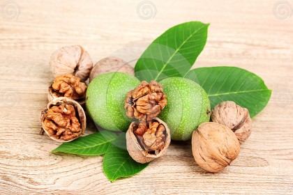 Cây óc chó chữa bệnh hở van tim