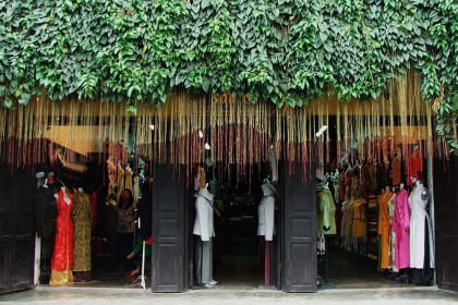 Cây liêm hồ đằng