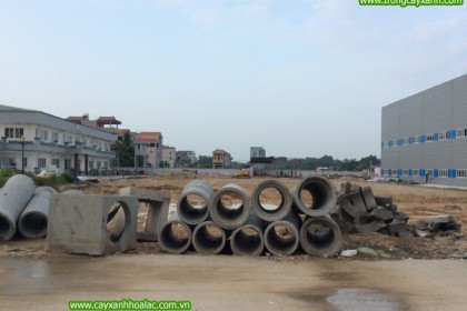 Nhà máy VietPan Pacific trước khi thi công cây xanh