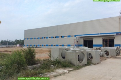 Nhà máy VietPan Pacific trước khi thi công cây xanh