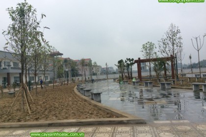 Ảnh sau khi nghiệm thu tại nhà máy VietPan